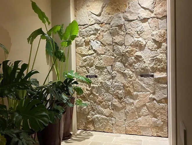 Etimo Beauty&wellness 特里卡塞