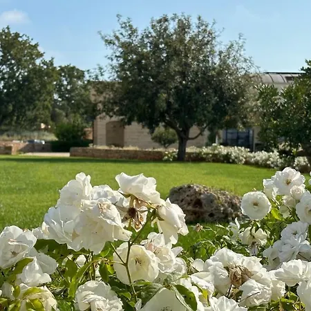 Etimo Beauty&wellness Tricase